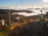 J Tongariro 059